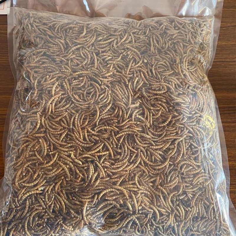 Dried Mealworms For Chickens