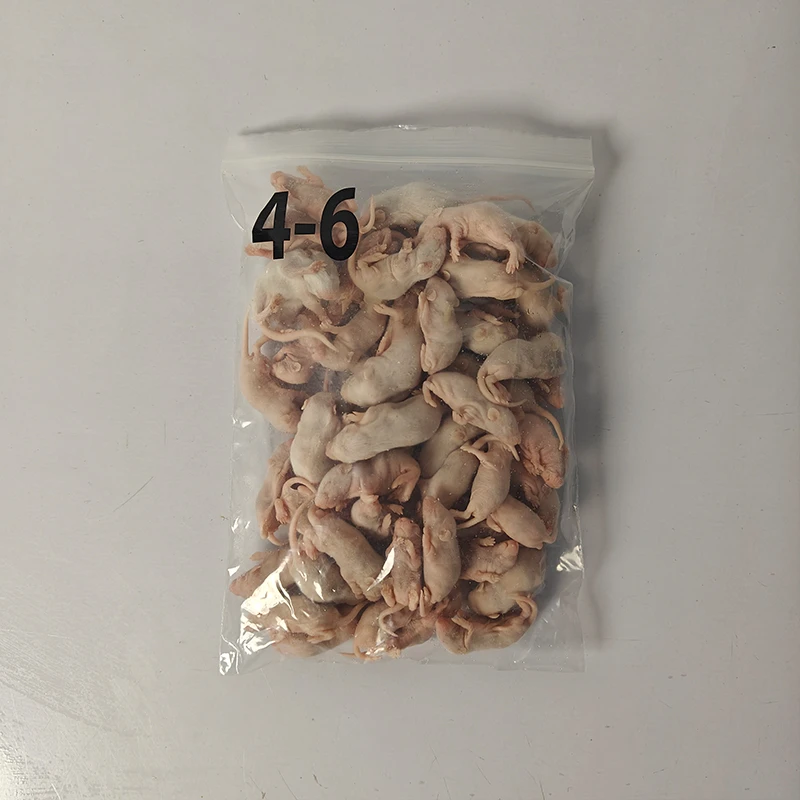 Frozen Rats for Reptiles Frozen Rats for Reptiles