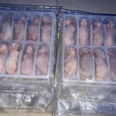 Características de camundongos congelados para cobras