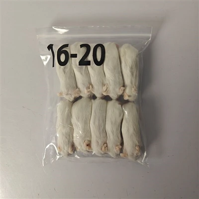 Requisitos técnicos para camundongos congelados para cobras