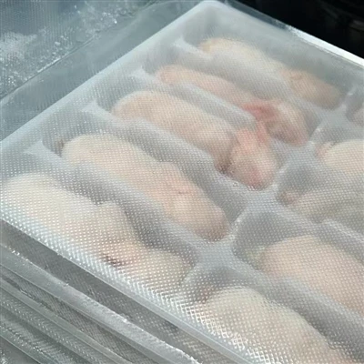 Quais animais vão comer camundongos congelados?