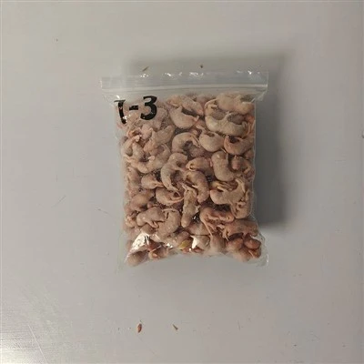 Ratos Pinkie congelados