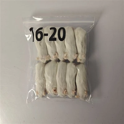 Ratos congelados para cobra