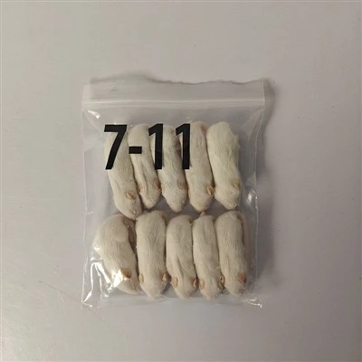 Pequenos ratos congelados para cobras