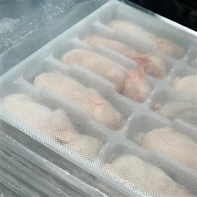 Coelho inteiro congelado